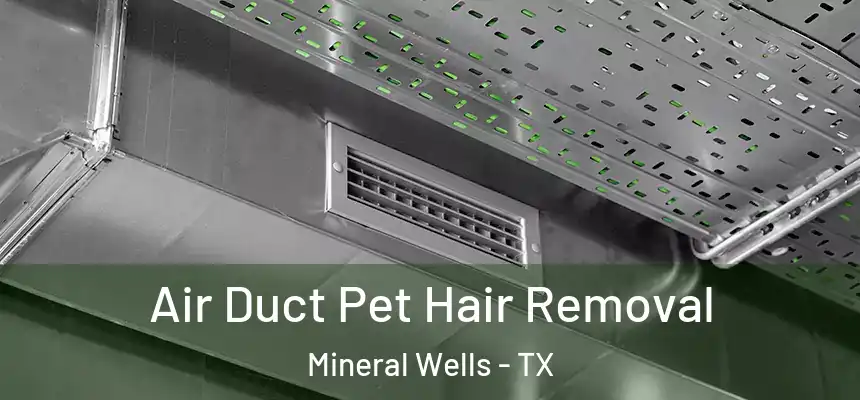  Air Duct Pet Hair Removal Mineral Wells - TX