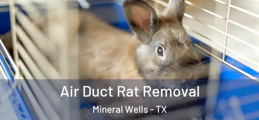  Air Duct Rat Removal Mineral Wells - TX