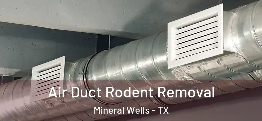  Air Duct Rodent Removal Mineral Wells - TX