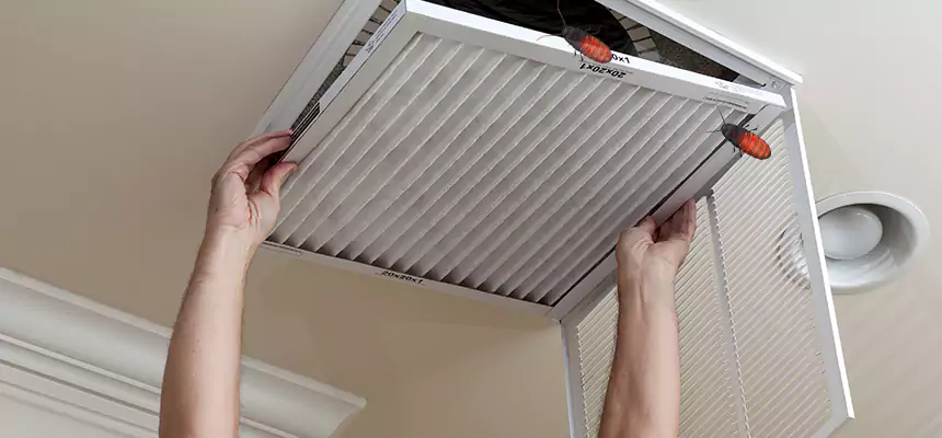 Preventive Cockroach-Proofing for Ducts in Mineral Wells
