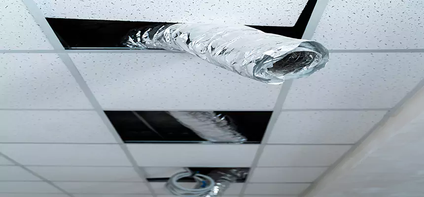 Affordable HVAC Sanitizing After Pest Removal in Mineral Wells