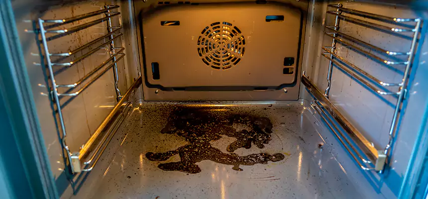 Our Dryer Vent Mold Cleaning Services in Mineral Wells, TX