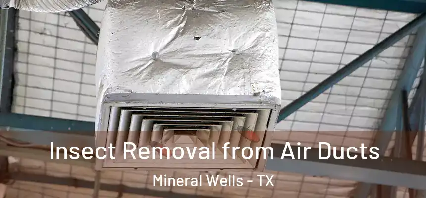  Insect Removal from Air Ducts Mineral Wells - TX