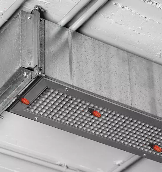 About Air Duct Cockroach Removal in Mineral Wells, TX