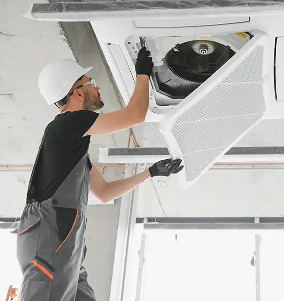 About Air Duct Rodent Removal in Mineral Wells, TX